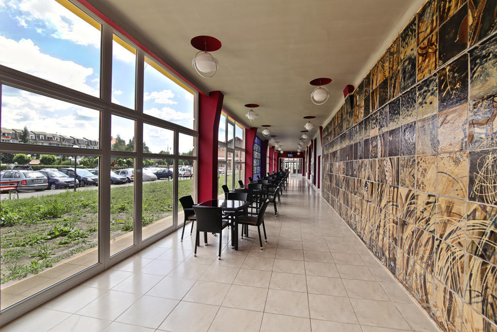 Complex Balnear Cerbul Otel Covasna Dış mekan fotoğraf